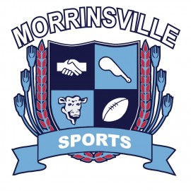 Morrinsville Sports