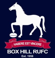 Box Hill Rugby Club