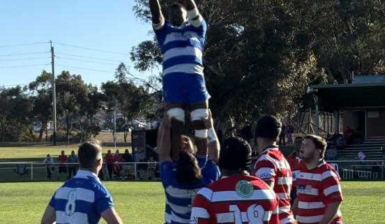 Wagga City Rugby