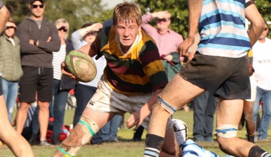 Waldo Hanekom