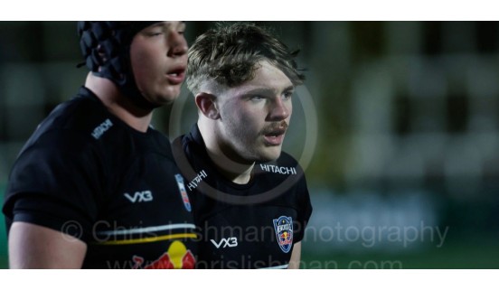 Josh Doran
