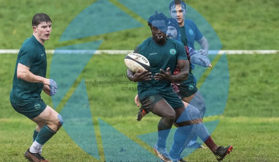 Fola Adedeji